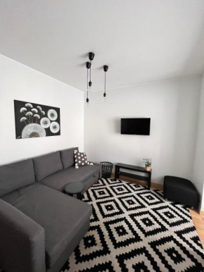 Stilingi šaulio skulptūros apartamentai